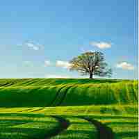 dns解​析‌速​度‌测‍试﻿ celuo工‍具‌